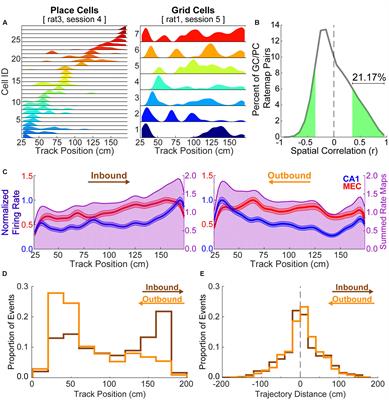 Methodological Caveats in the Detection of Coordinated Replay between Place Cells and Grid Cells